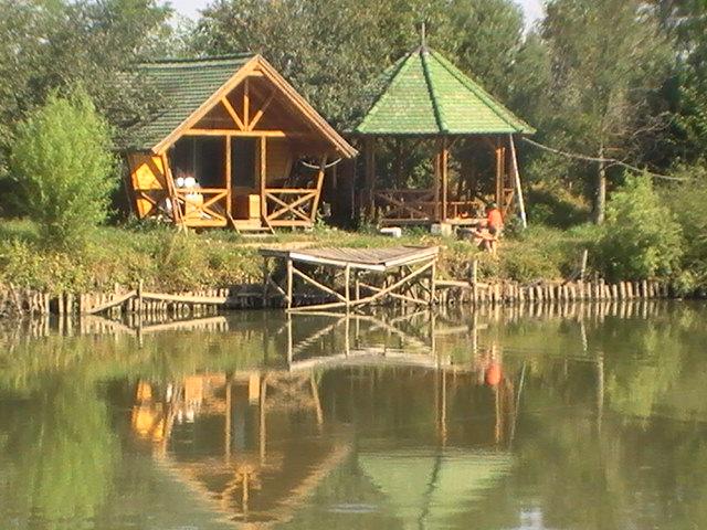 pestiiiiiiiiiiii - pic3778.JPG